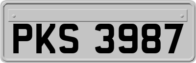 PKS3987