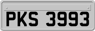 PKS3993