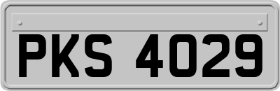 PKS4029