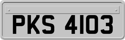 PKS4103