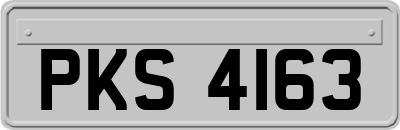 PKS4163