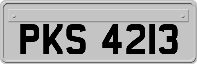 PKS4213