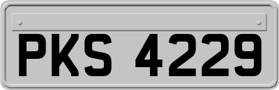 PKS4229