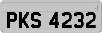 PKS4232