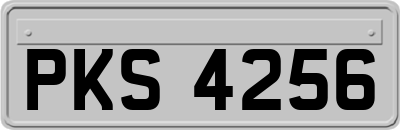 PKS4256