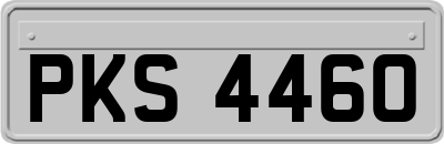 PKS4460