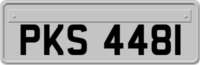 PKS4481