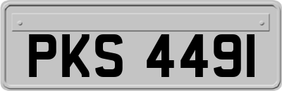 PKS4491