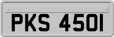 PKS4501