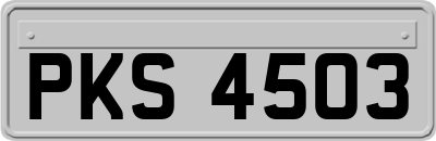 PKS4503