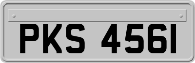 PKS4561