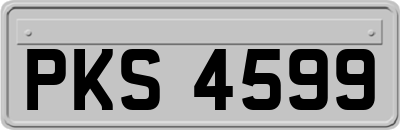 PKS4599