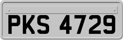 PKS4729