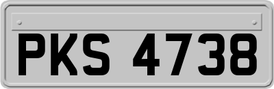 PKS4738