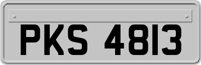 PKS4813
