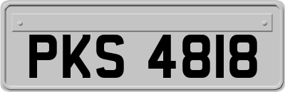 PKS4818