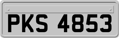 PKS4853