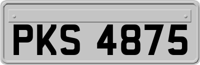 PKS4875