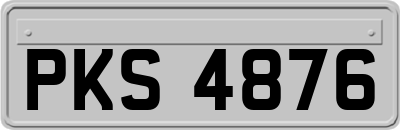 PKS4876