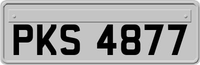 PKS4877