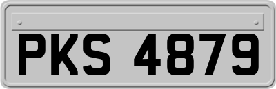PKS4879