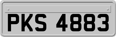 PKS4883