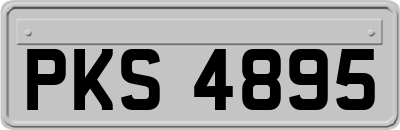 PKS4895
