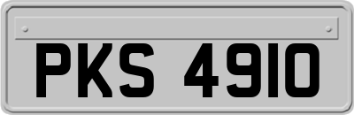 PKS4910