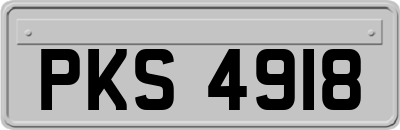 PKS4918