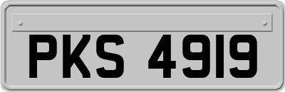 PKS4919