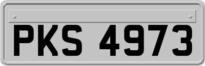 PKS4973