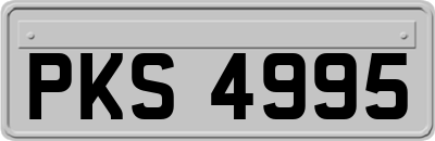 PKS4995