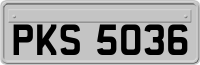 PKS5036