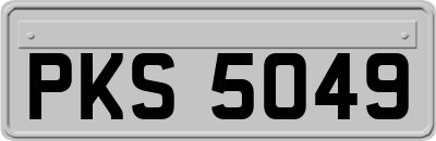 PKS5049
