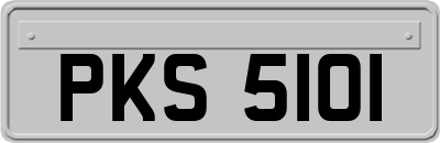 PKS5101
