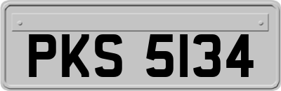 PKS5134