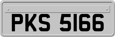 PKS5166