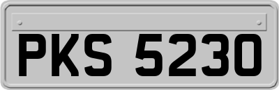 PKS5230