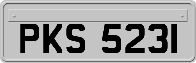 PKS5231