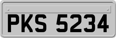 PKS5234