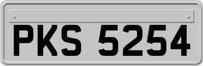 PKS5254