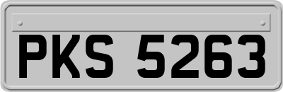 PKS5263