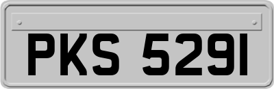 PKS5291
