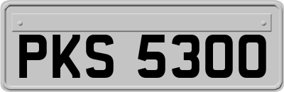 PKS5300