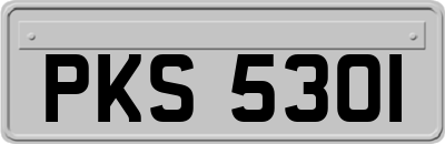 PKS5301