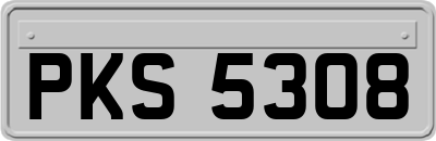 PKS5308