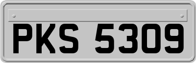 PKS5309