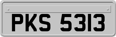 PKS5313