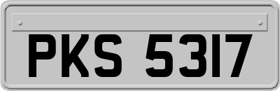 PKS5317
