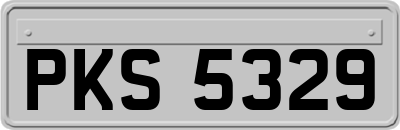 PKS5329